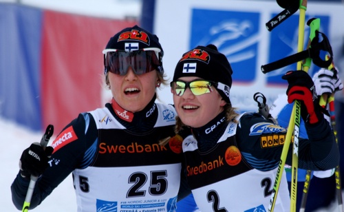 grundvall pitkanen