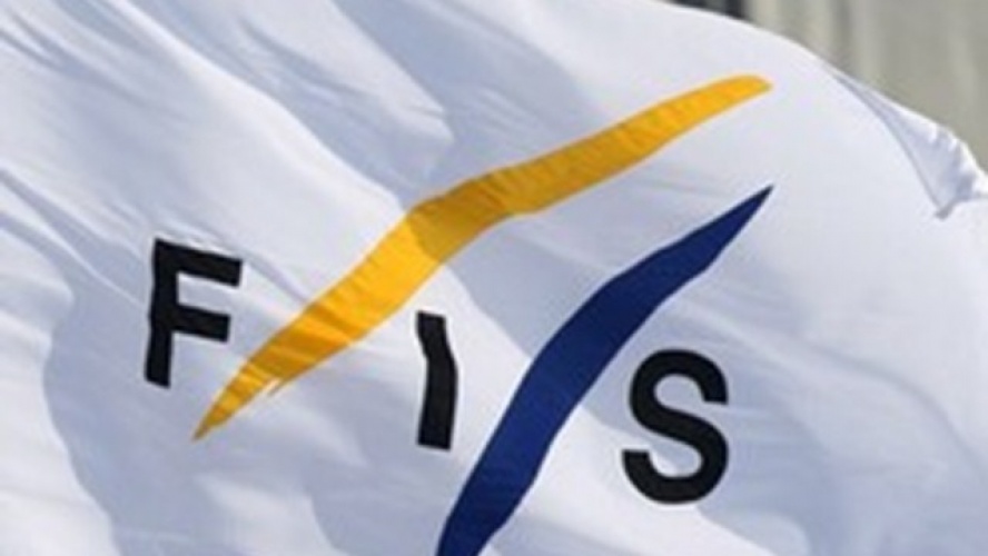 fis logo