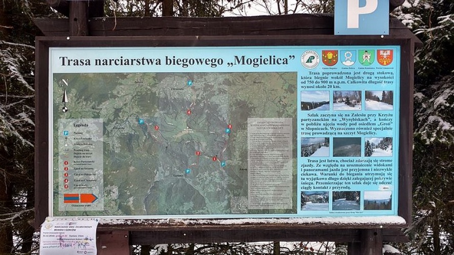 trasy biegowe