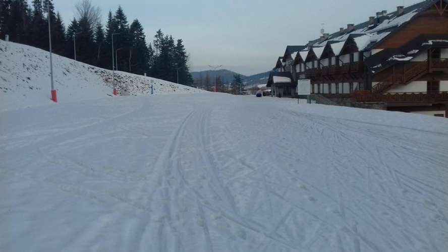ptaszkowa